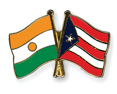 Fahnen Pins Niger Puerto-Rico