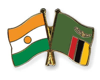 Fahnen Pins Niger Sambia