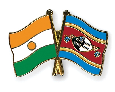 Fahnen Pins Niger Swasiland