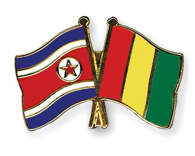 Fahnen Pins Nordkorea Guinea