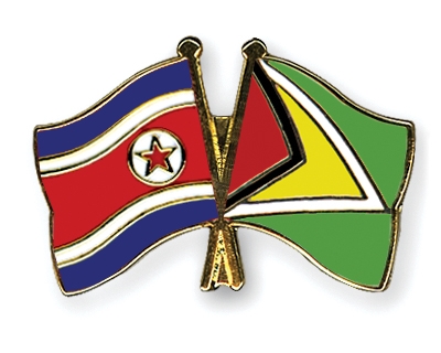 Fahnen Pins Nordkorea Guyana