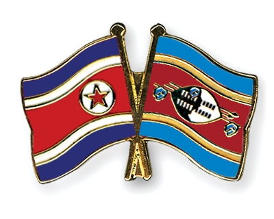 Fahnen Pins Nordkorea Swasiland