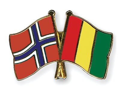 Fahnen Pins Norwegen Guinea