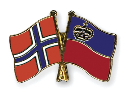 Fahnen Pins Norwegen Liechtenstein