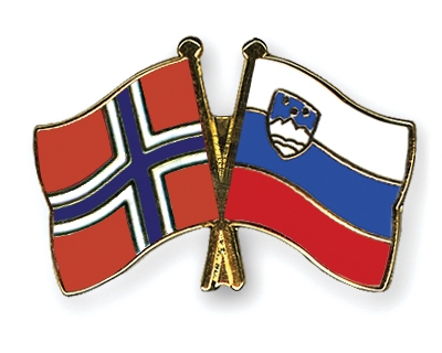 Fahnen Pins Norwegen Slowenien