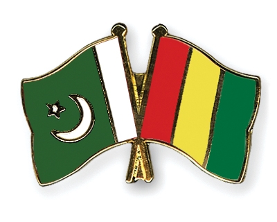 Fahnen Pins Pakistan Guinea