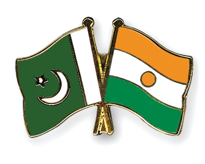 Fahnen Pins Pakistan Niger