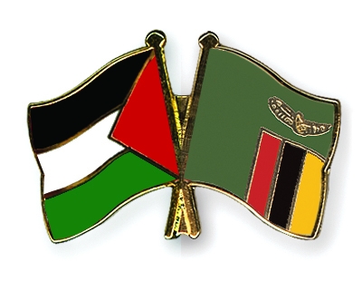 Fahnen Pins Palstina Sambia