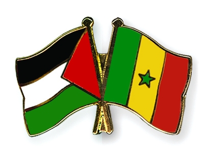 Fahnen Pins Palstina Senegal