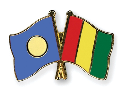 Fahnen Pins Palau Guinea