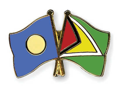 Fahnen Pins Palau Guyana