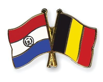 Fahnen Pins Paraguay Belgien