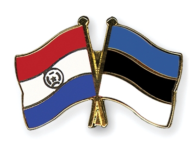 Fahnen Pins Paraguay Estland