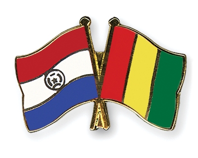 Fahnen Pins Paraguay Guinea