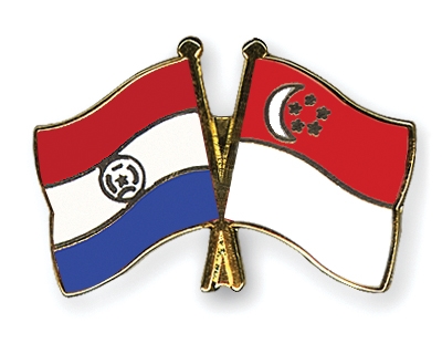 Fahnen Pins Paraguay Singapur