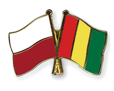 Fahnen Pins Polen Guinea