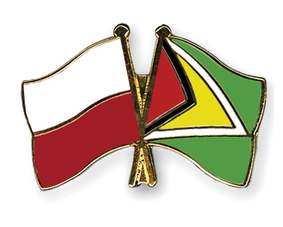 Fahnen Pins Polen Guyana