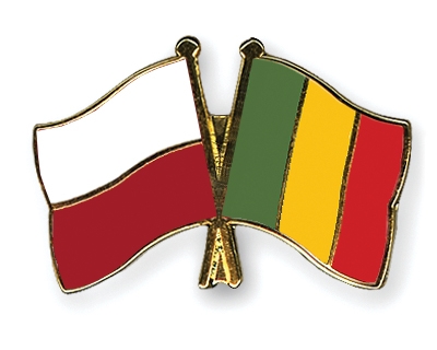 Fahnen Pins Polen Mali