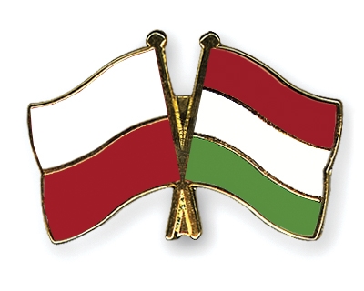 Fahnen Pins Polen Ungarn