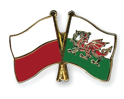 Fahnen Pins Polen Wales
