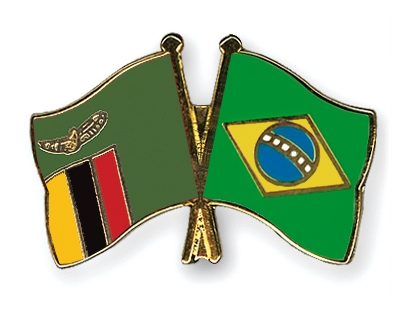 Fahnen Pins Sambia Brasilien