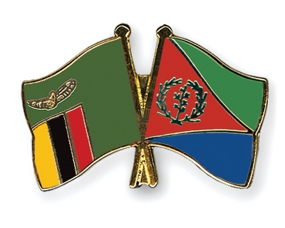 Fahnen Pins Sambia Eritrea