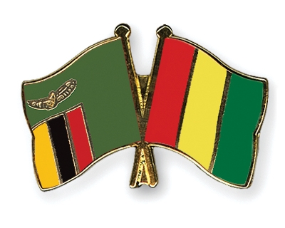 Fahnen Pins Sambia Guinea