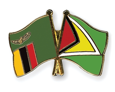 Fahnen Pins Sambia Guyana