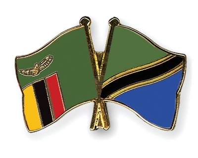 Fahnen Pins Sambia Tansania