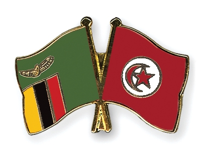 Fahnen Pins Sambia Tunesien