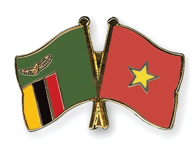 Fahnen Pins Sambia Vietnam