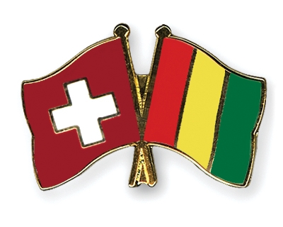 Fahnen Pins Schweiz Guinea