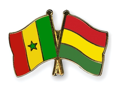 Fahnen Pins Senegal Bolivien