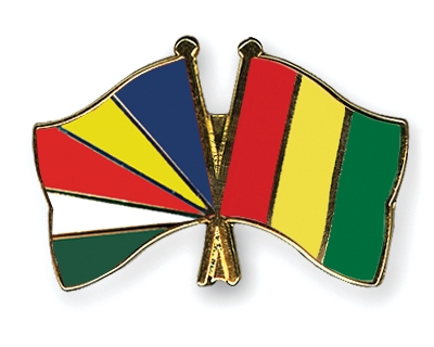 Fahnen Pins Seychellen Guinea