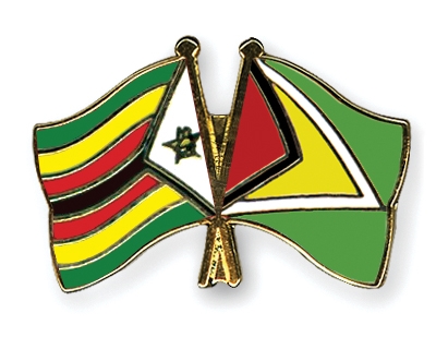 Fahnen Pins Simbabwe Guyana