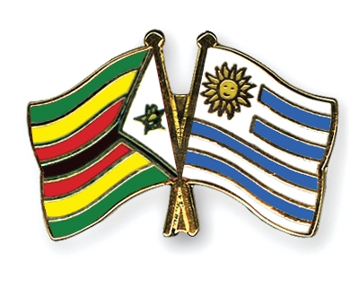 Fahnen Pins Simbabwe Uruguay