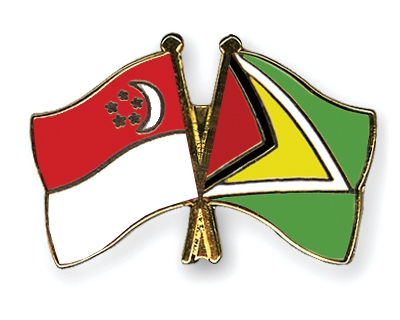 Fahnen Pins Singapur Guyana