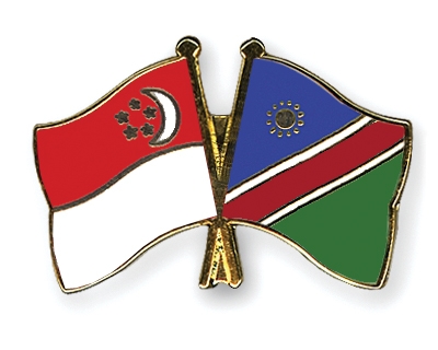 Fahnen Pins Singapur Namibia