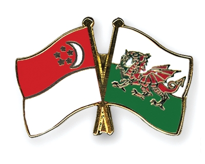 Fahnen Pins Singapur Wales