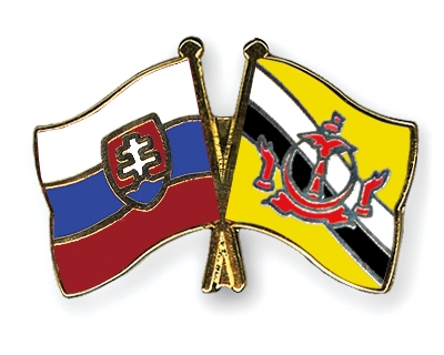 Fahnen Pins Slowakei Brunei-Darussalam