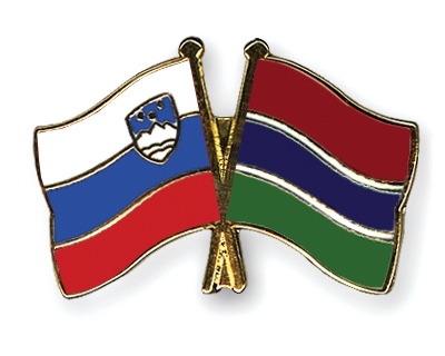 Fahnen Pins Slowenien Gambia