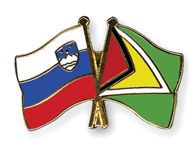Fahnen Pins Slowenien Guyana