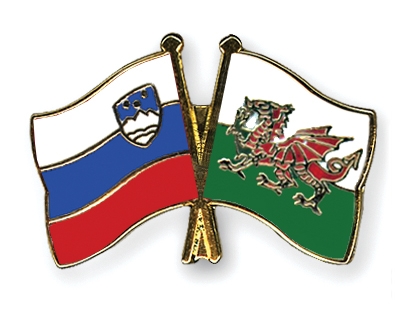 Fahnen Pins Slowenien Wales