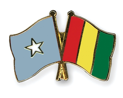 Fahnen Pins Somalia Guinea