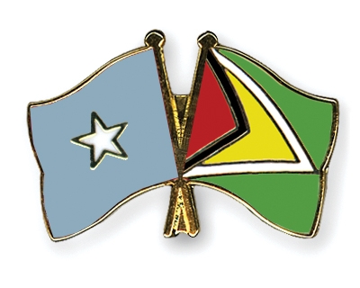 Fahnen Pins Somalia Guyana