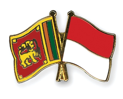 Fahnen Pins Sri-Lanka Indonesien