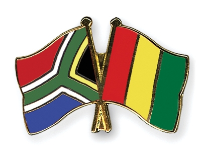 Fahnen Pins Sdafrika Guinea