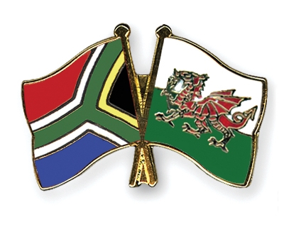 Fahnen Pins Sdafrika Wales