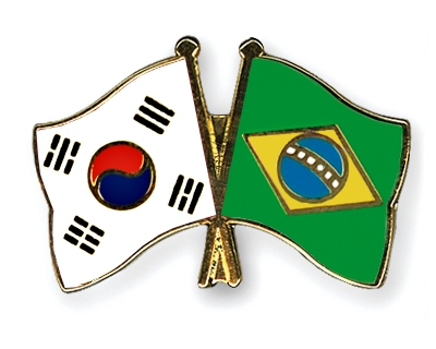 Fahnen Pins Sdkorea Brasilien