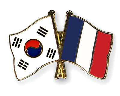 Fahnen Pins Sdkorea Frankreich